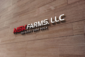 Logo-Design von DesignMaker 2 für dieses Projekt | Design: #36773448