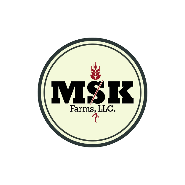 Diseño de Logo por dynamicstudio para este proyecto | Diseño #36747717