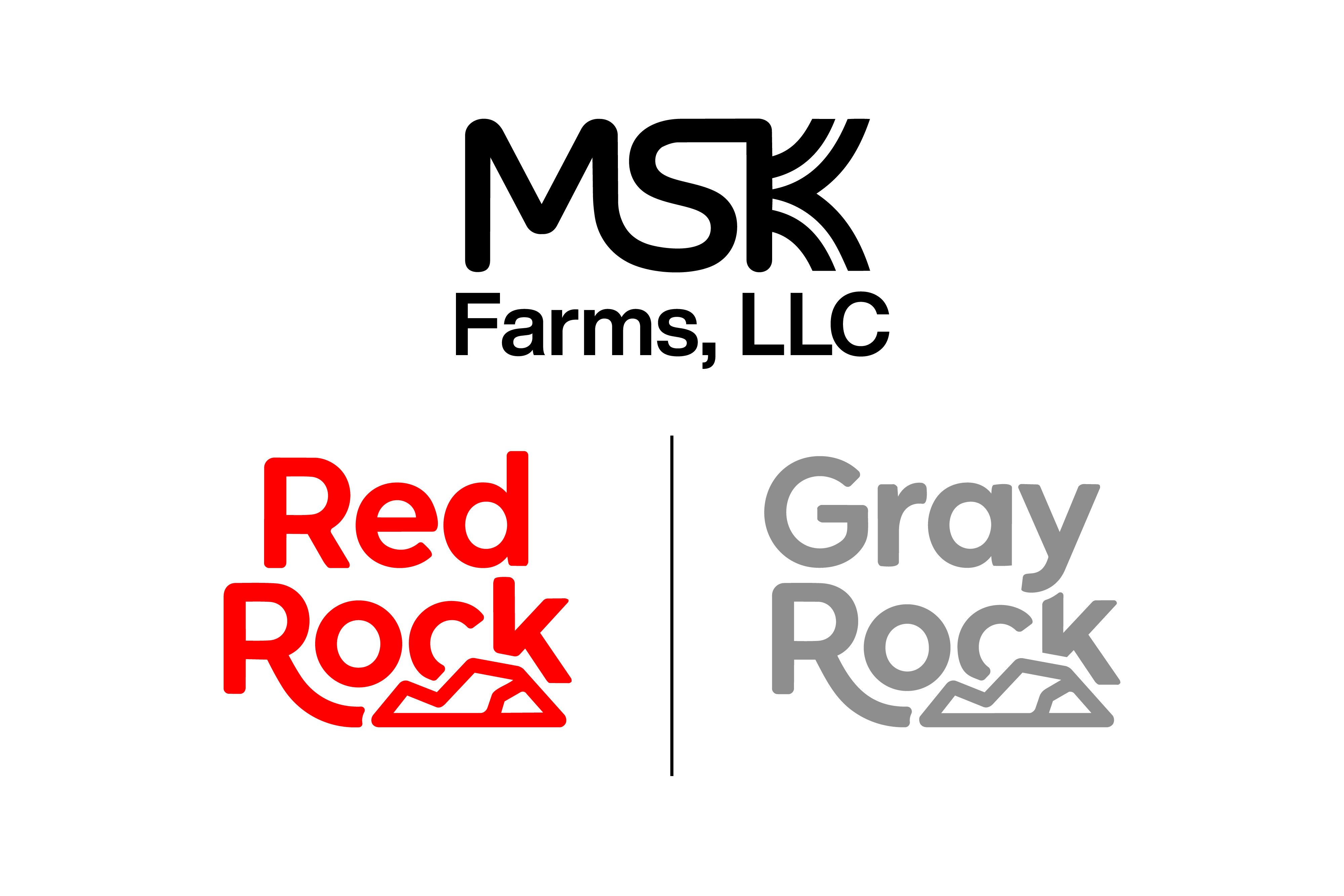 Logo-Design von HSL Brain für dieses Projekt | Design #36754183