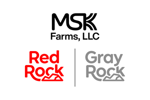 Logo-Design von HSL Brain für dieses Projekt | Design: #36754183