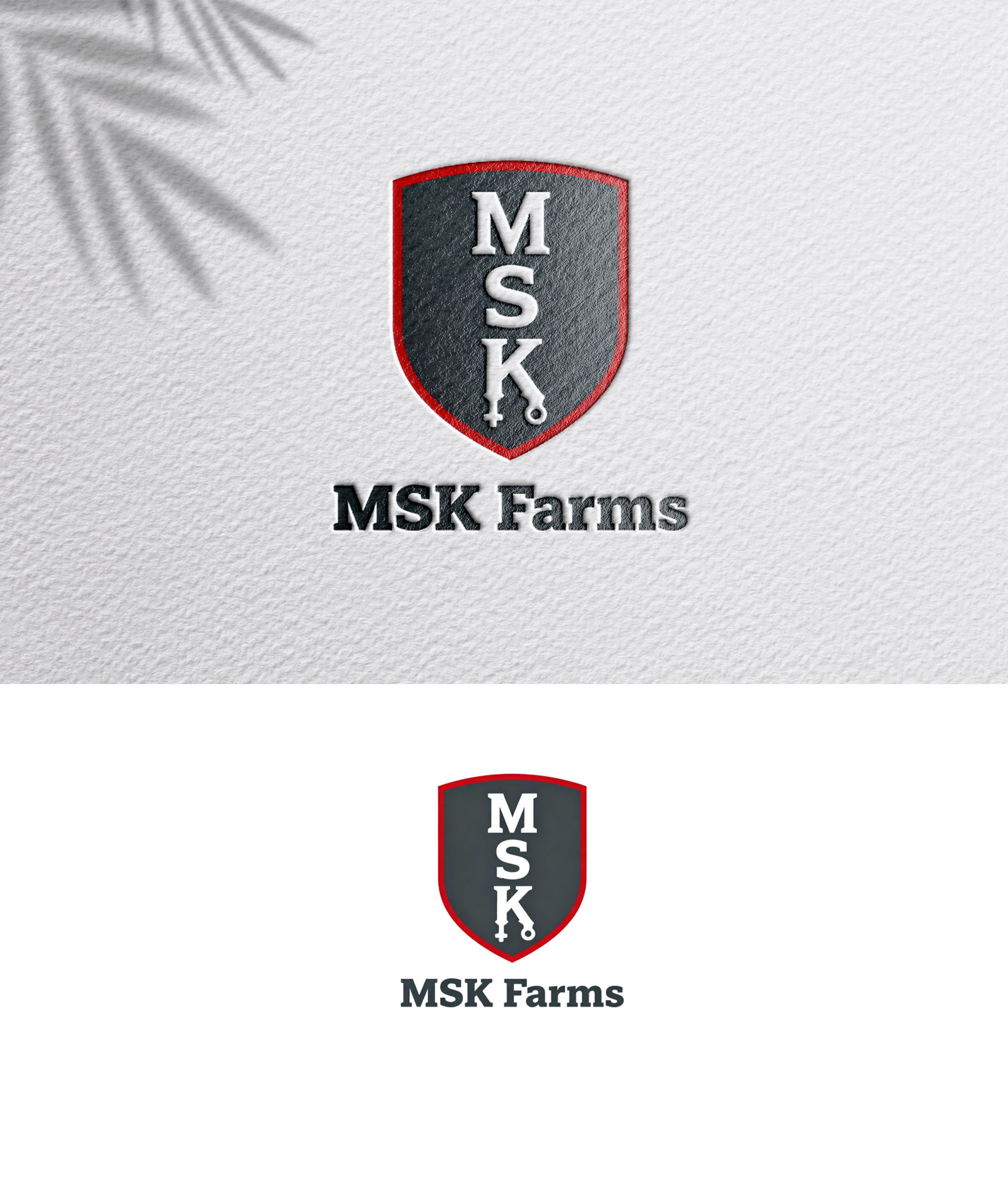 Diseño de Logo por zoyario para este proyecto | Diseño #36760787