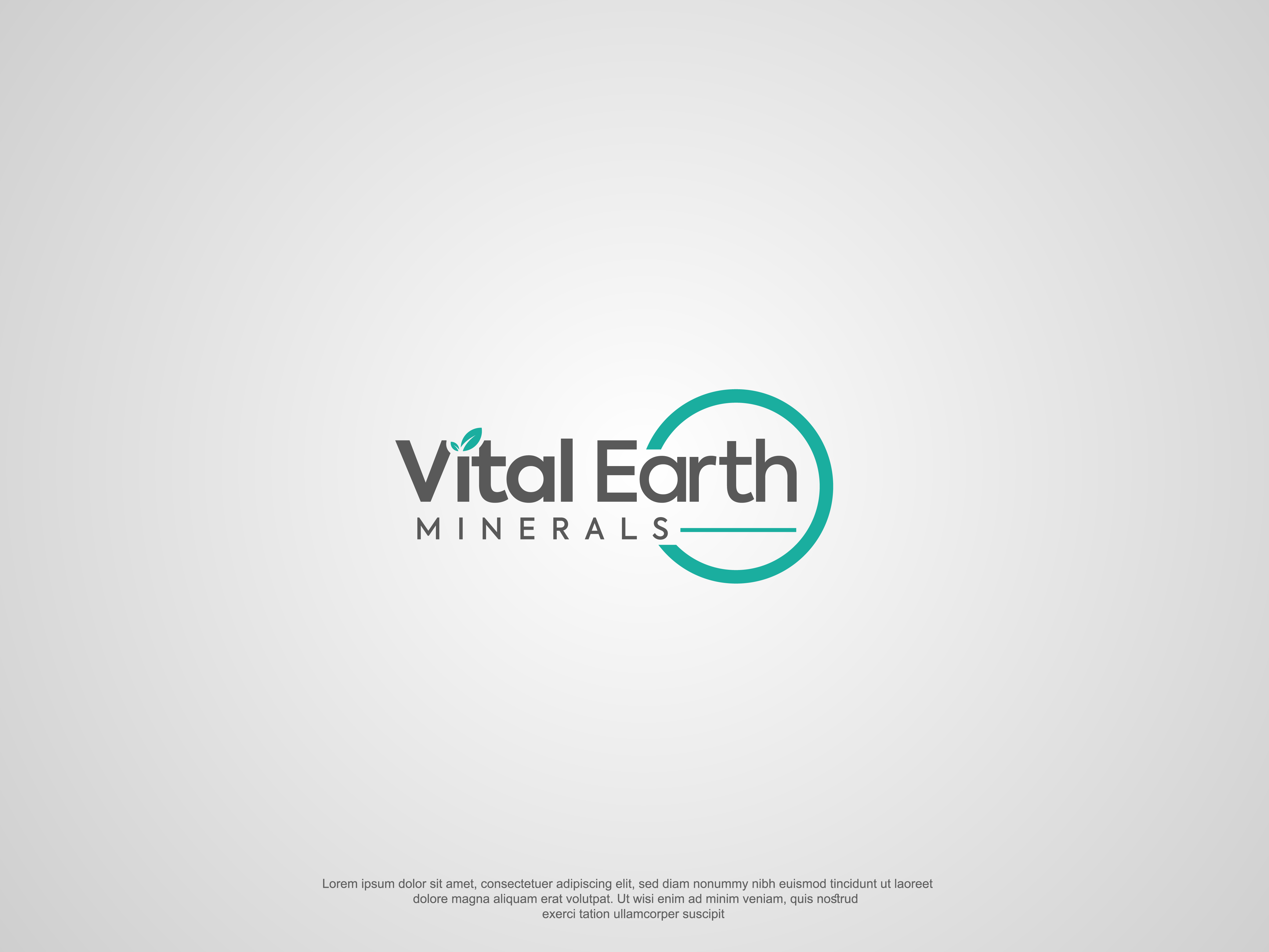 Logo Design by AbrinaDesign for Vital Earth Minerals | Design: #36761138