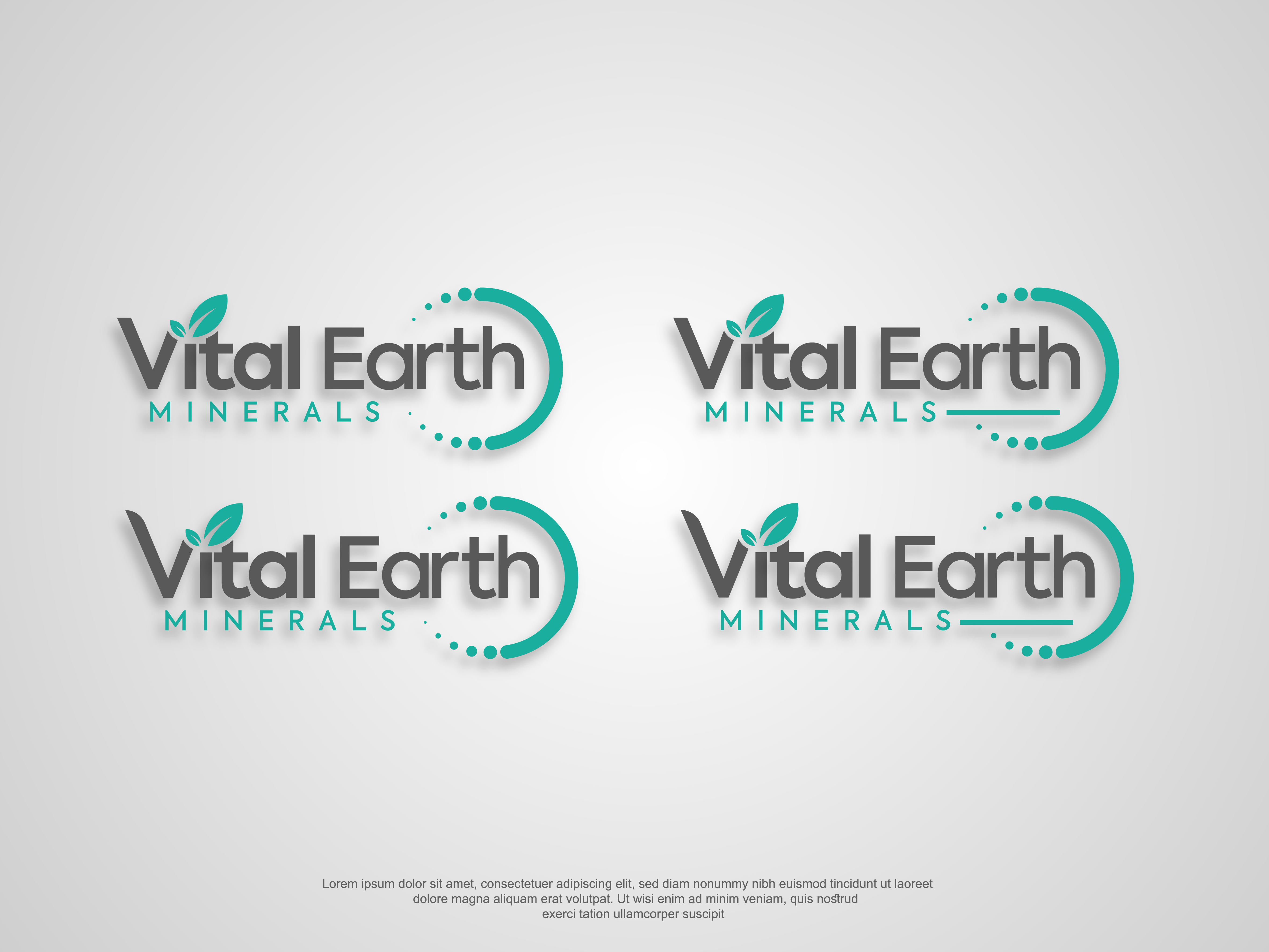 Diseño de Logo por AbrinaDesign para Vital Earth Minerals | Diseño #36801482