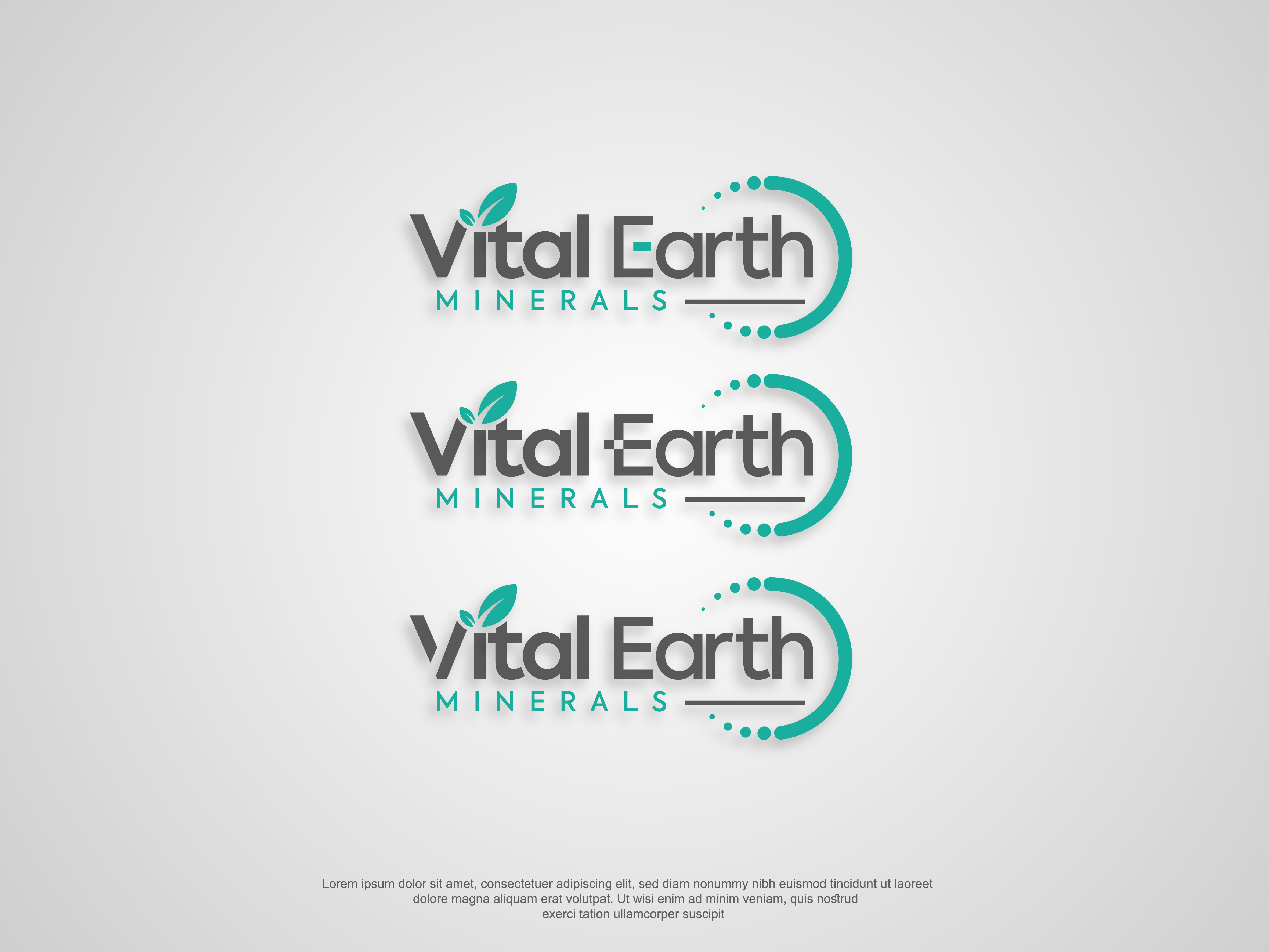 Design de Logo par AbrinaDesign pour Vital Earth Minerals | Design #36806618