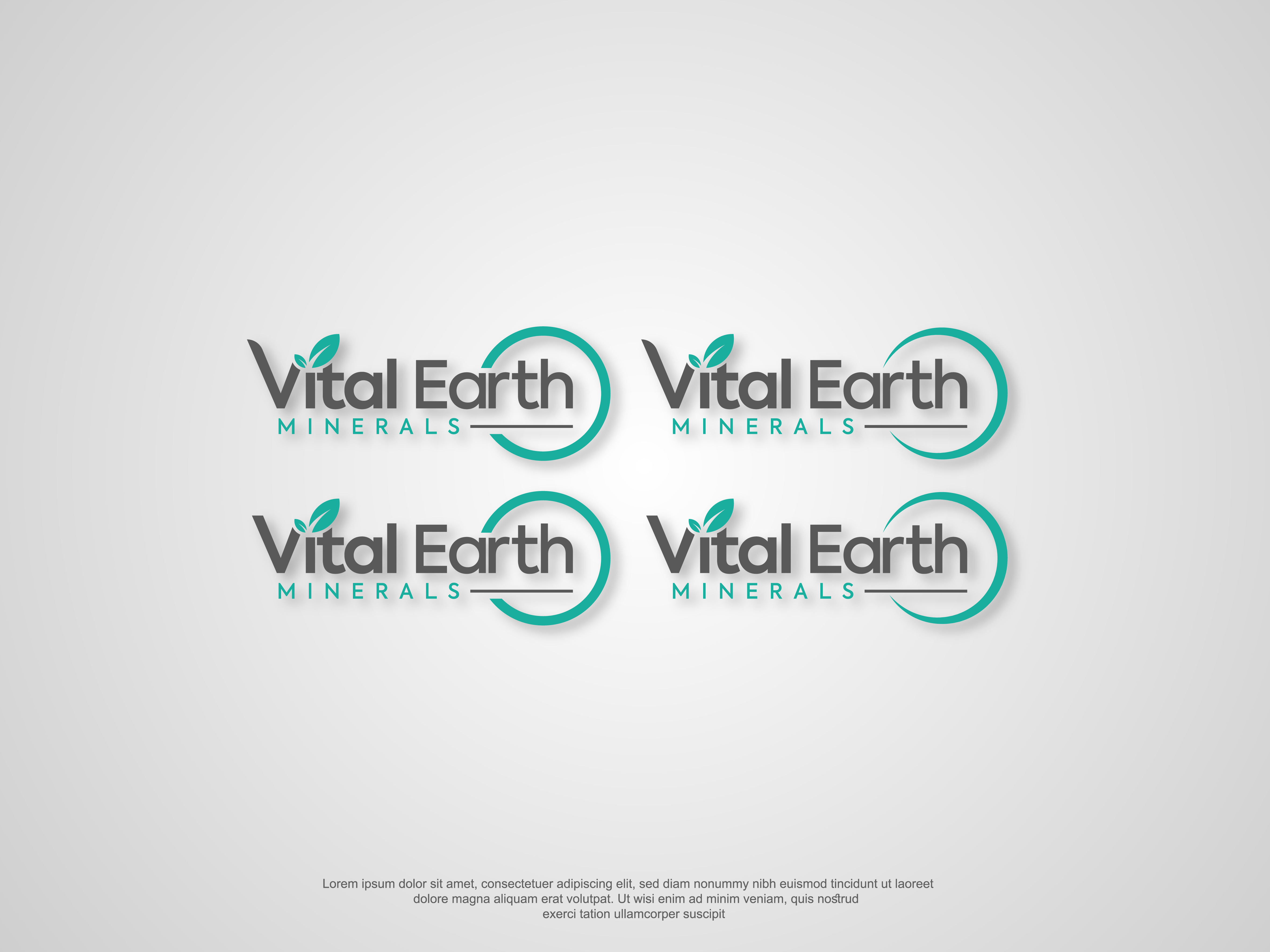 Design de Logo par AbrinaDesign pour Vital Earth Minerals | Design #36815408