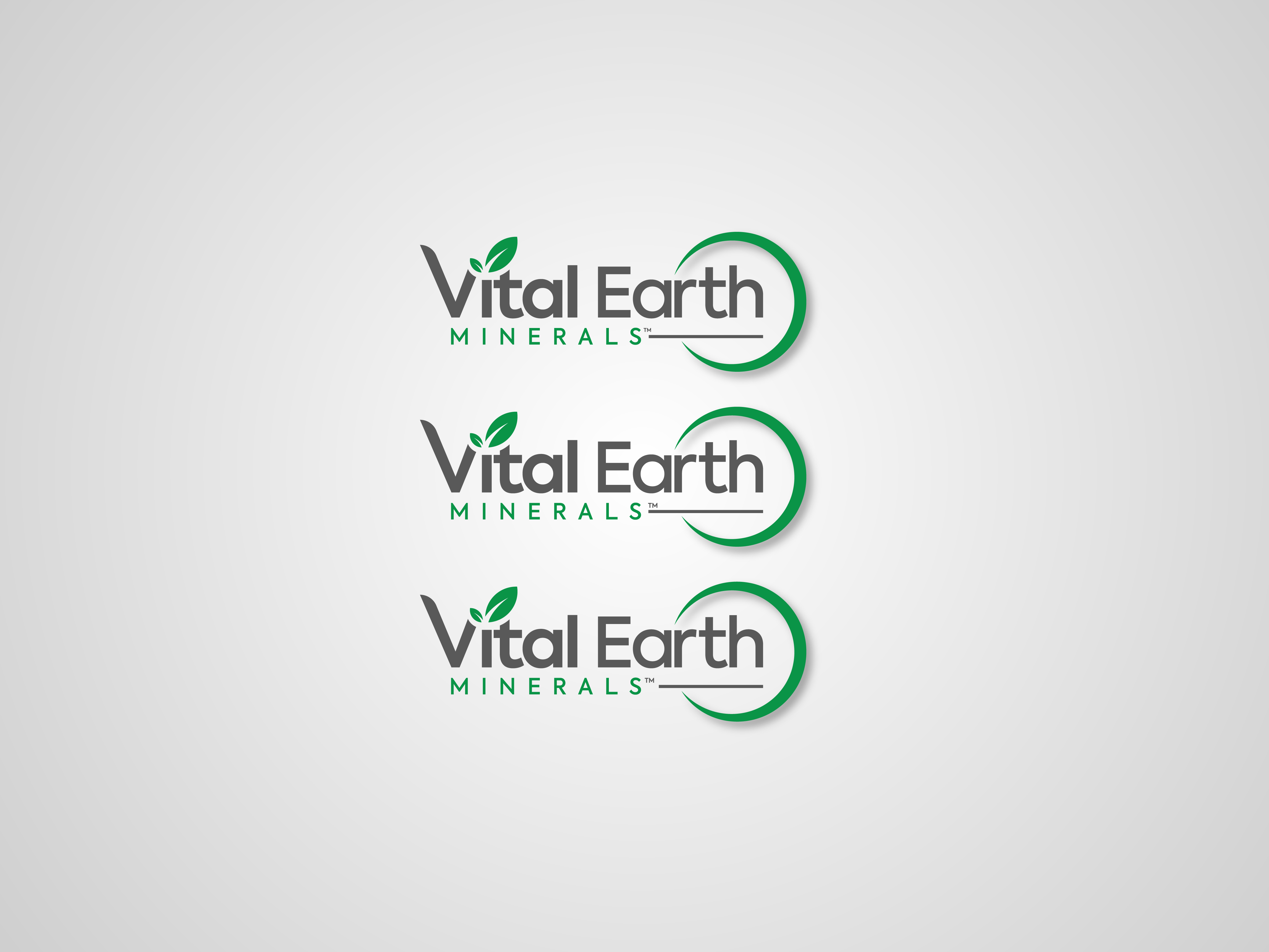 Design de Logo par AbrinaDesign pour Vital Earth Minerals | Design #36825934