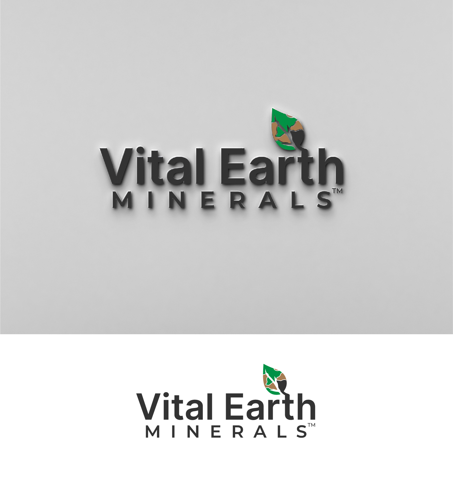 Diseño de Logo por S.H Designs para Vital Earth Minerals | Diseño #36743191