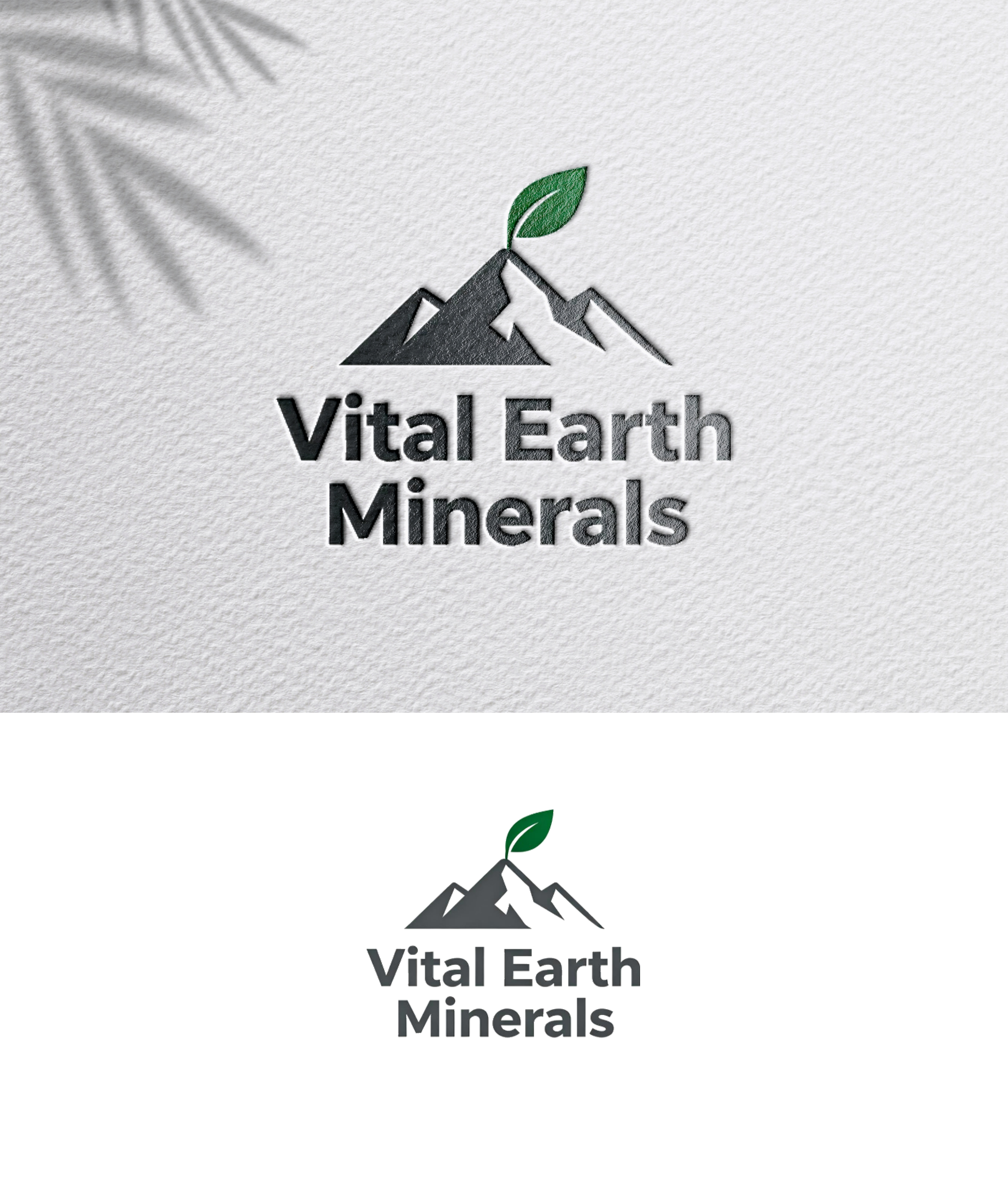 Logo-Design von zoyario für Vital Earth Minerals | Design #36774509