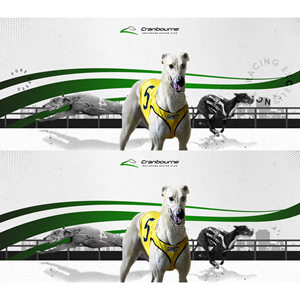 Facebook Cover Photo &amp; Mailchimp Template for Greyhound Racing Club