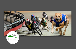 Facebook Design by rainbowmagic2017 for Cranbourne Greyhound Racing Club | Design: #36753993