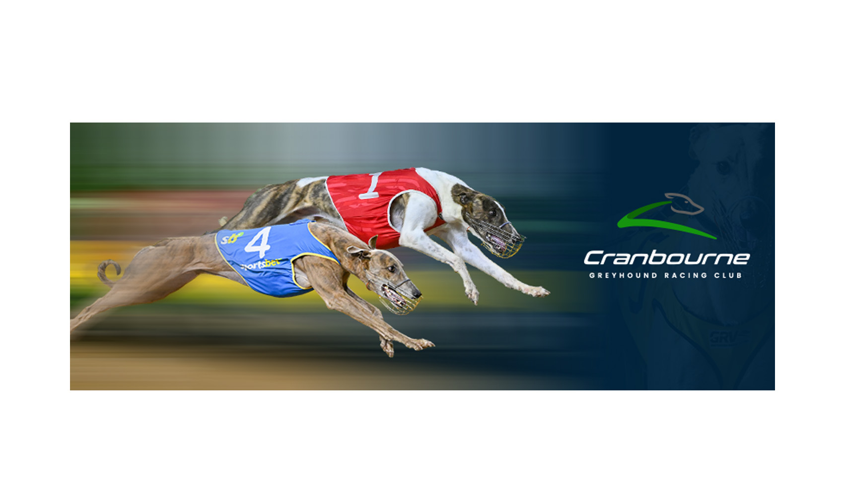 Design Facebook par ARTOGRAPHY pour Cranbourne Greyhound Racing Club | Design #36785937