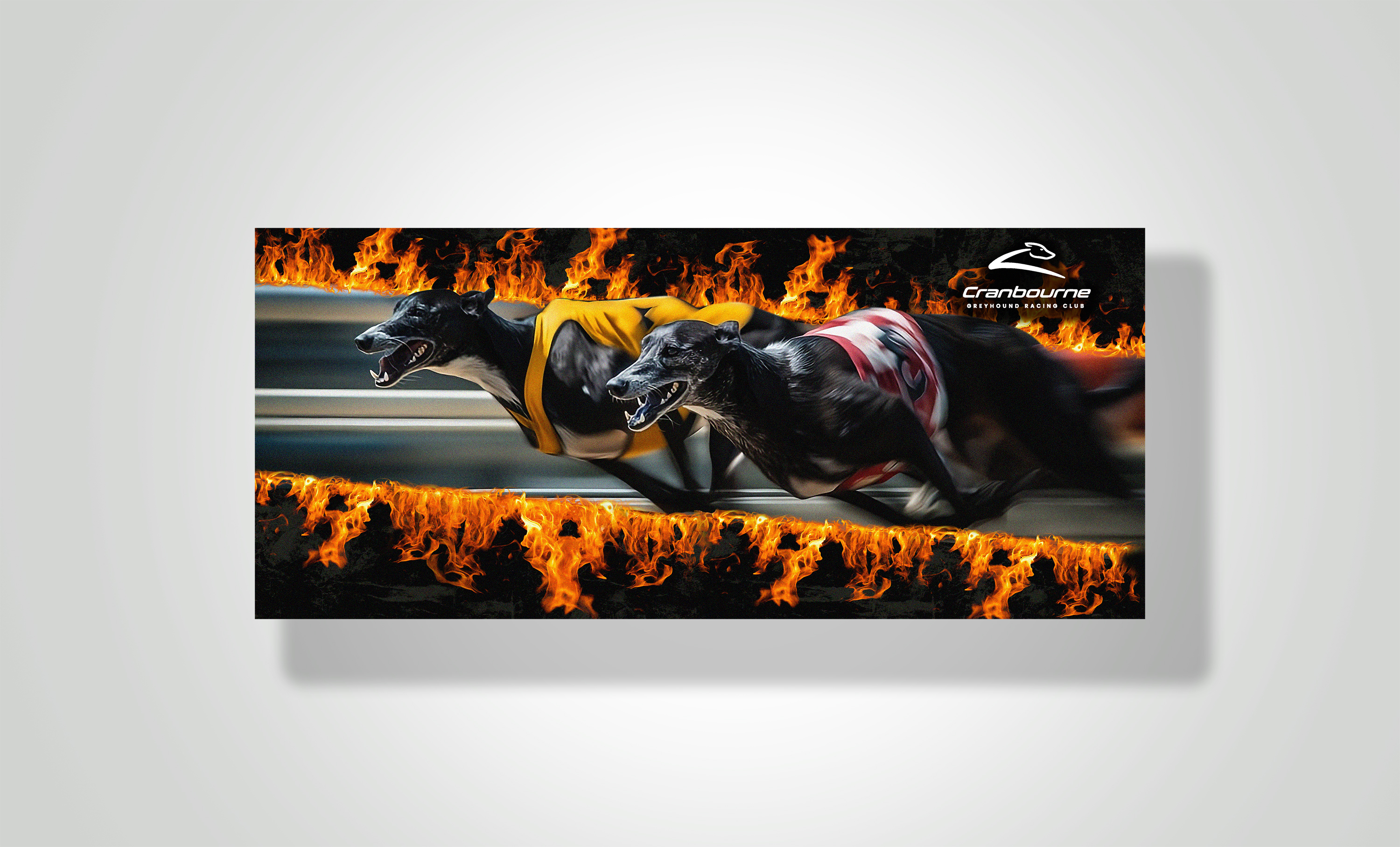 Facebook Design by designersaumya 2 for Cranbourne Greyhound Racing Club | Design #36774652