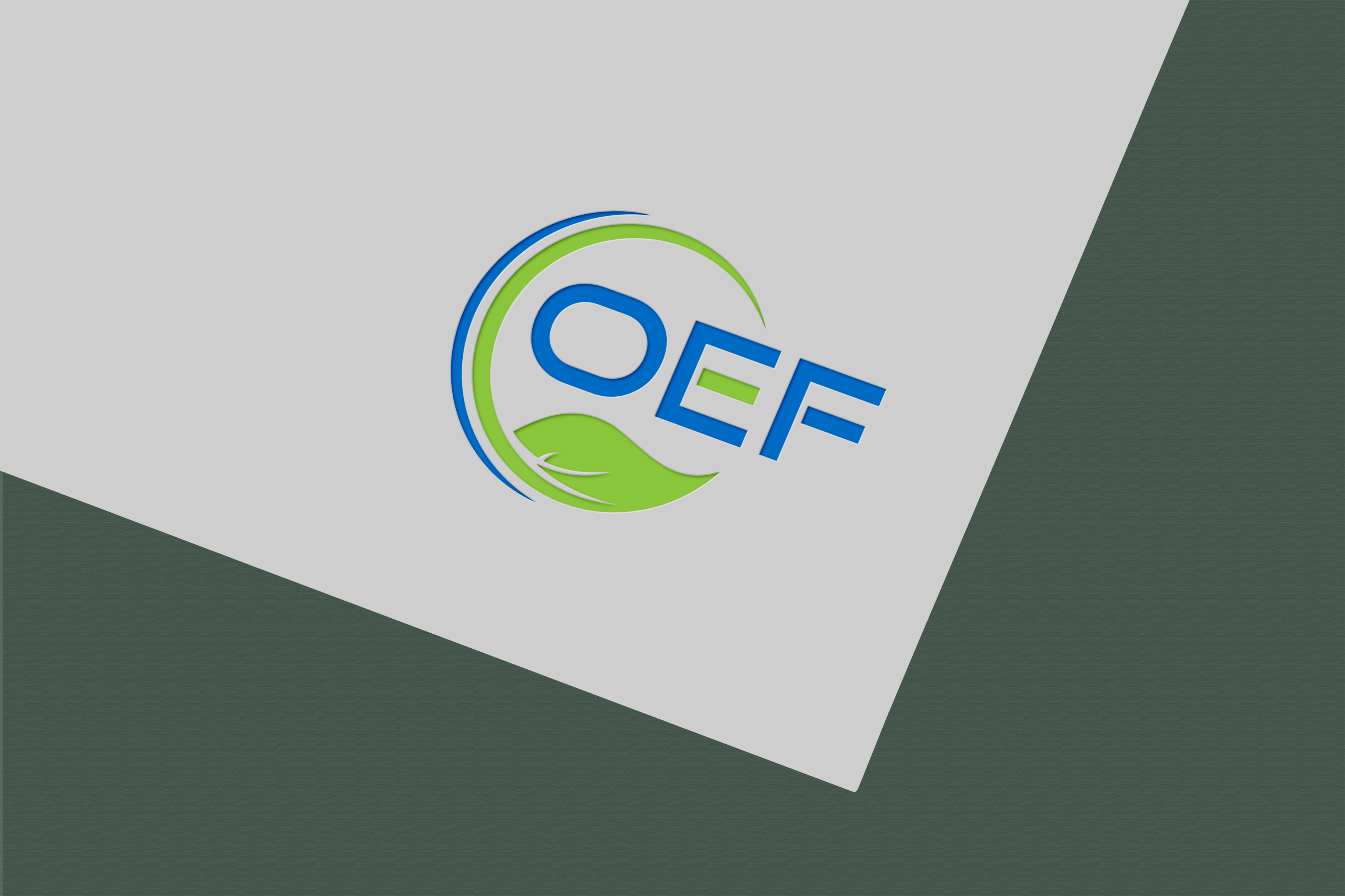 Logo Design by Jubaidur Creative Designer for this project | Design #36754943