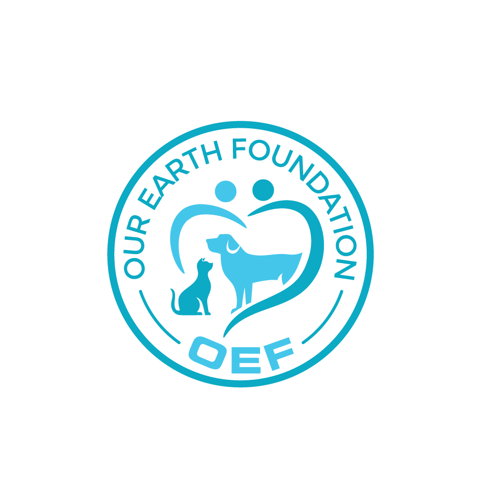 Logo Design by Anekaa for this project | Design #36751077