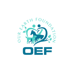 Logo Design by Anekaa for this project | Design: #36755147