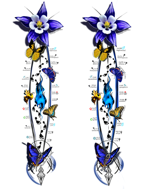 Tattoo Design by ioio for this project | Design: #36786837