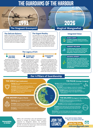 Infographic Design by MNM