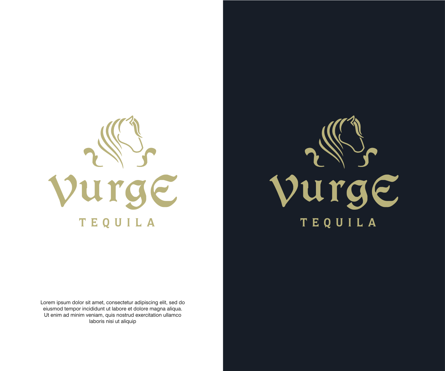 Logo Design by ThiagoB for this project | Design #36755260