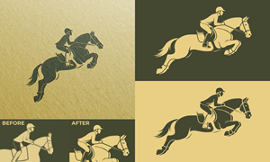 Logo Design by Daud Nadeem