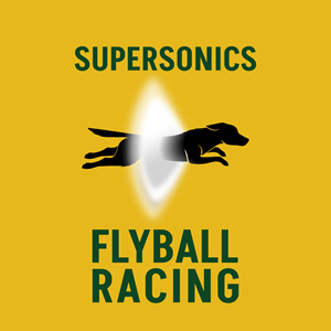 Logo Design by Franabanana for this project | Design: #36766499