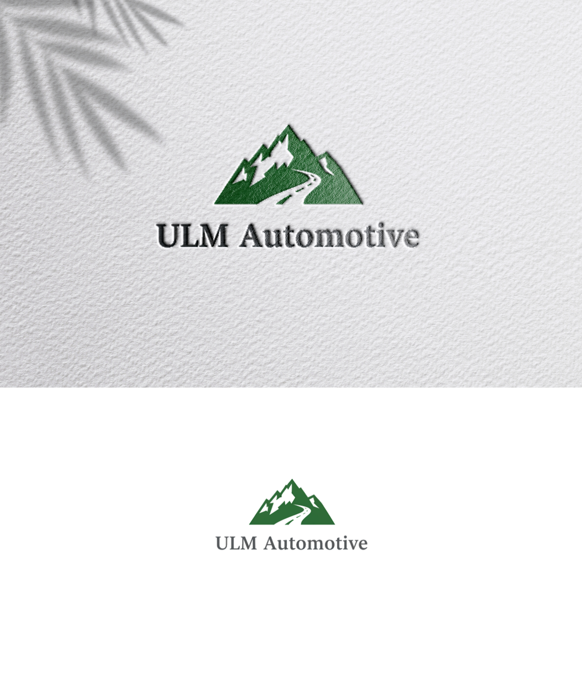 Diseño de Logo por zoyario para este proyecto | Diseño #36772543