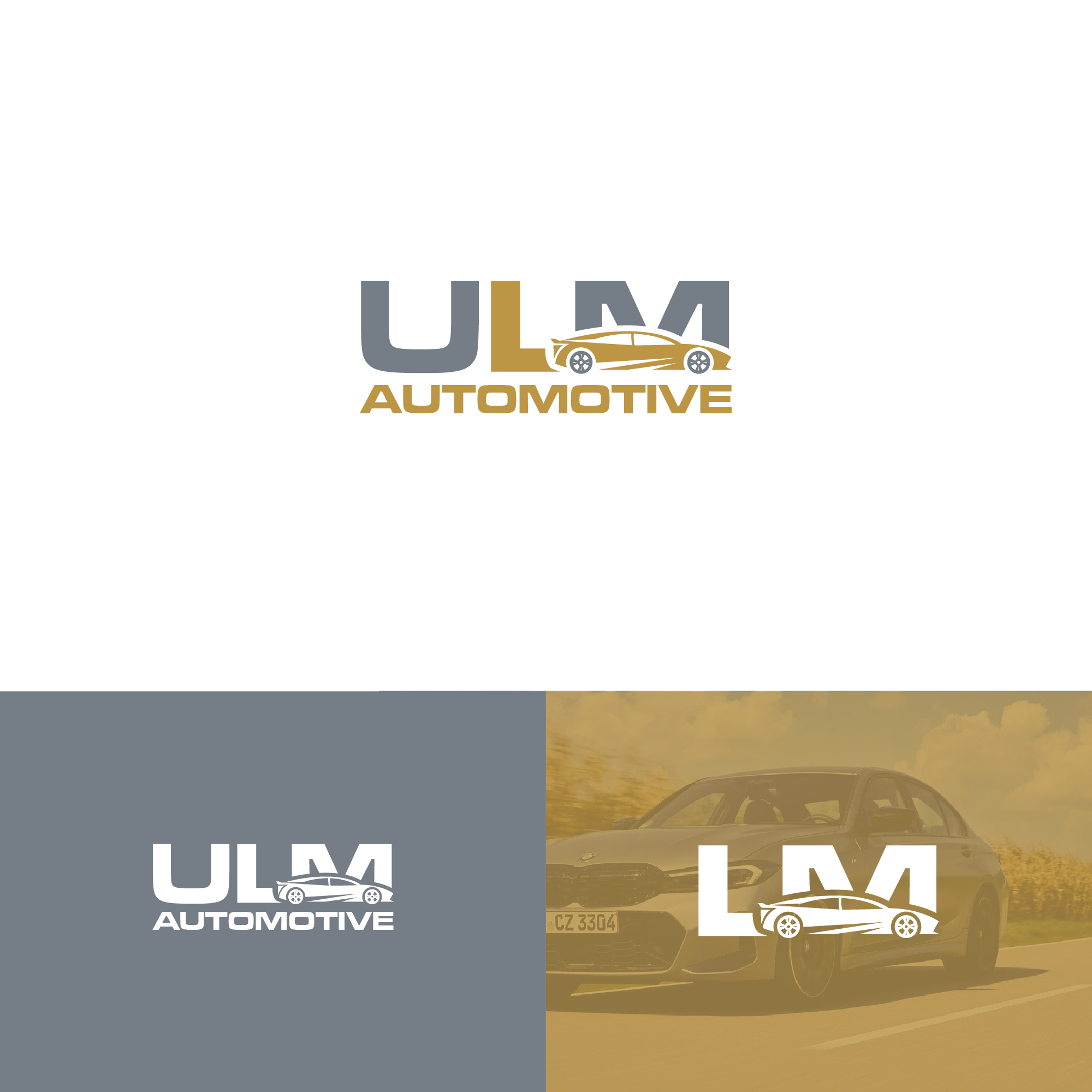 Diseño de Logo por Maxo-Biz para este proyecto | Diseño #36763615