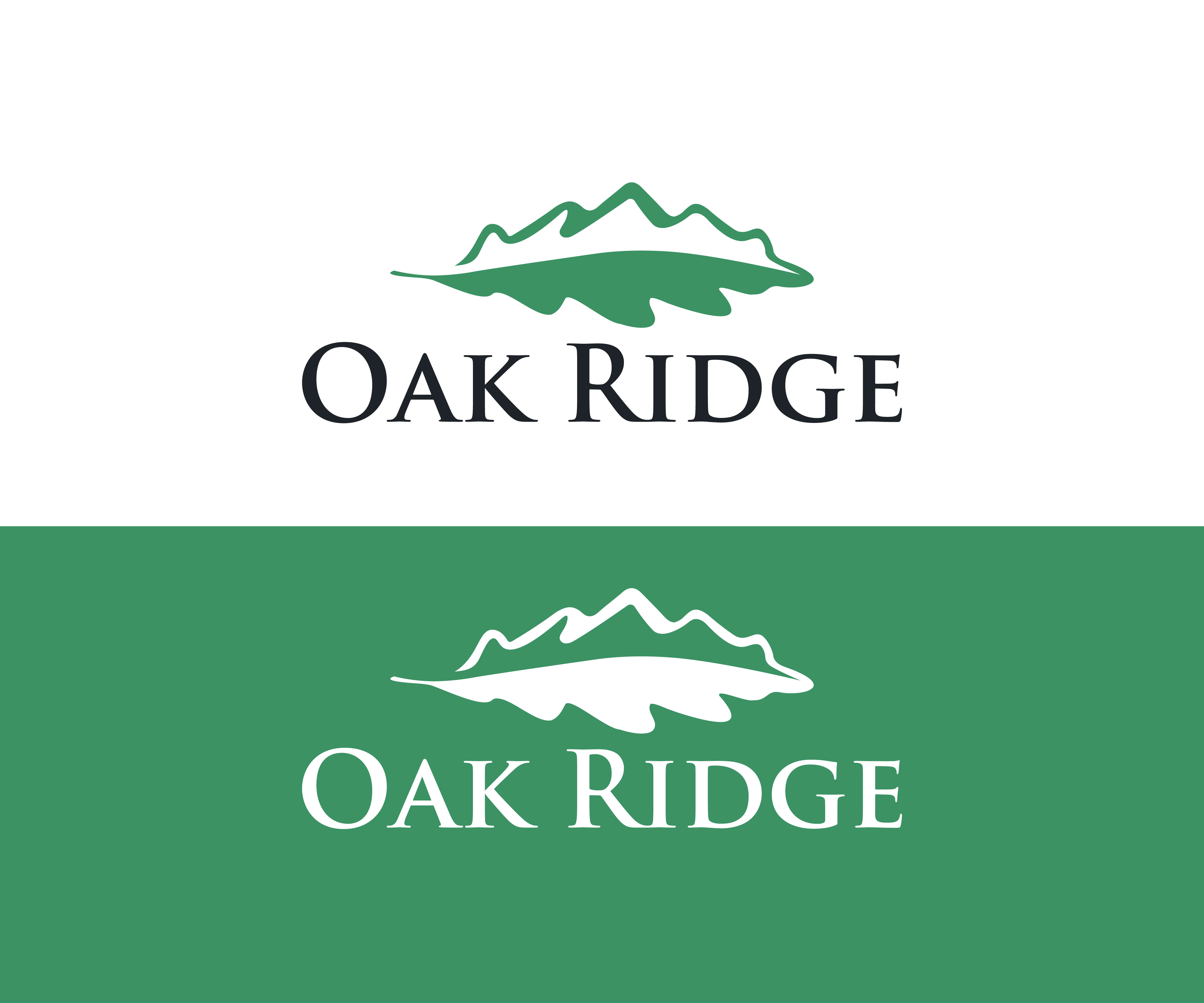 Logo-Design von dx_designer für dieses Projekt | Design #36771521