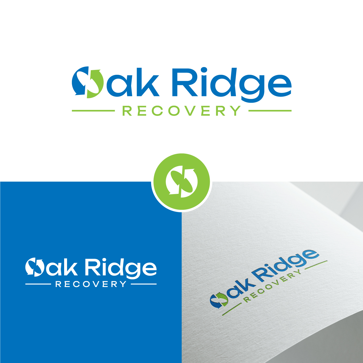 Logo-Design von Graphicvai für dieses Projekt | Design #36773269