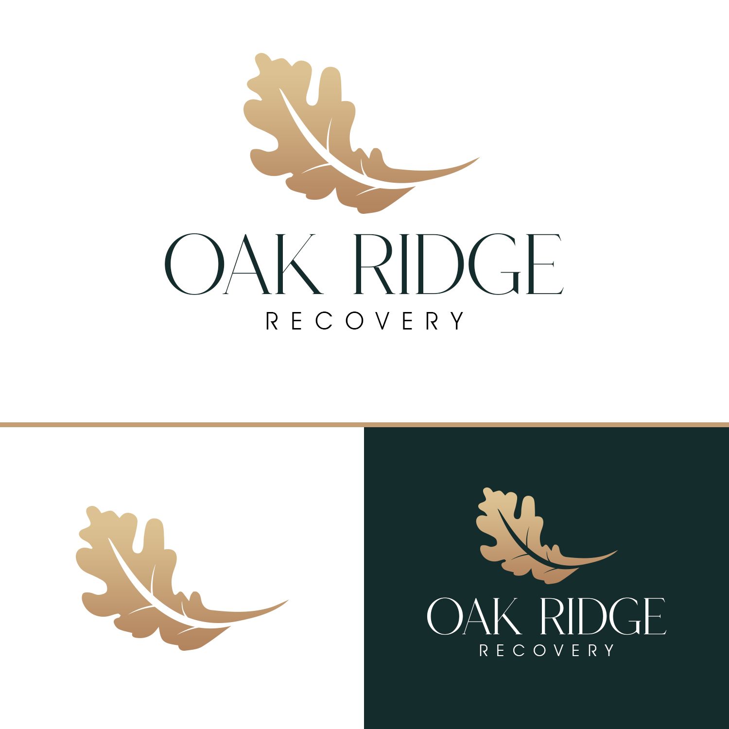 Logo-Design von Kajal UI/UX für dieses Projekt | Design #36784564