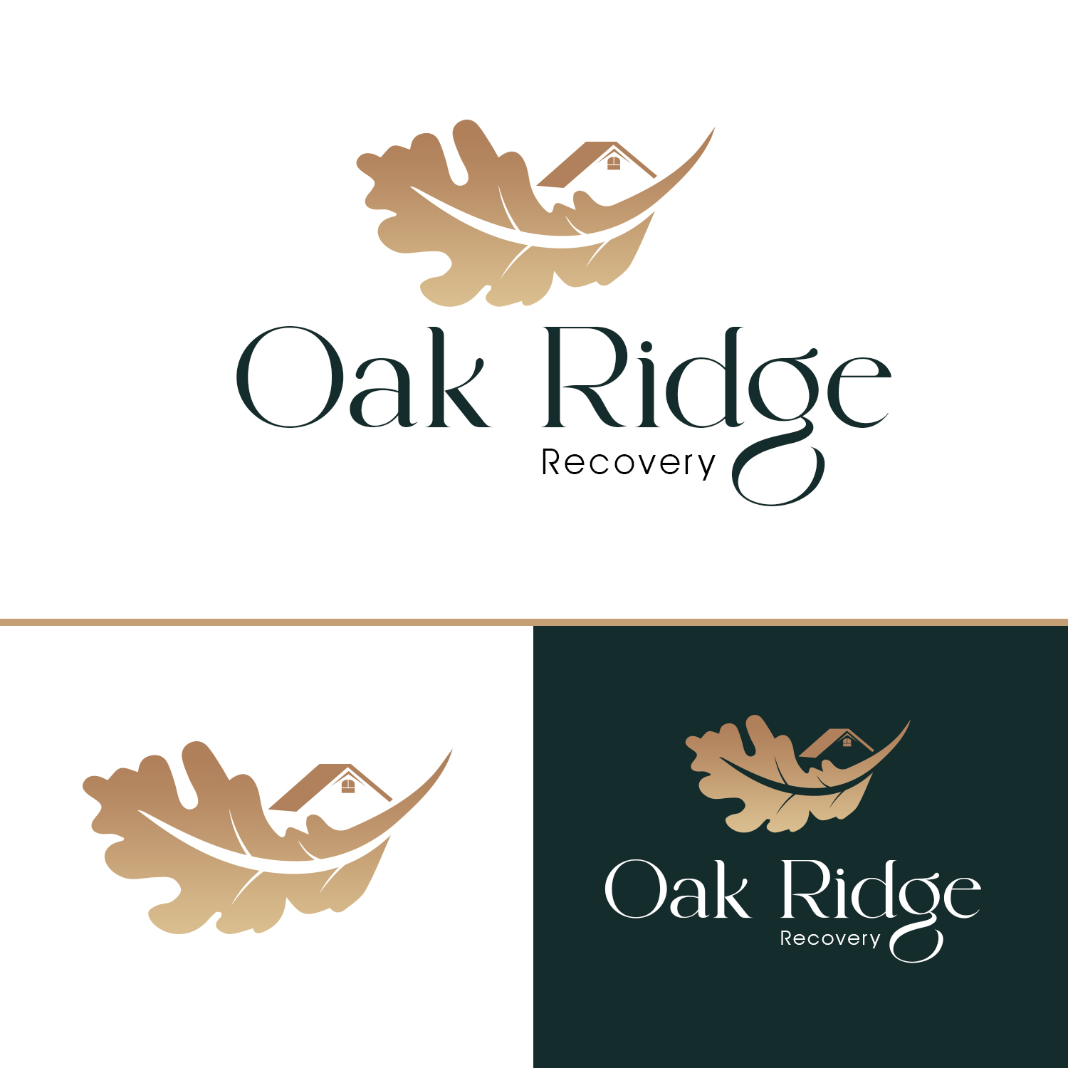 Logo-Design von Kajal UI/UX für dieses Projekt | Design #36784565