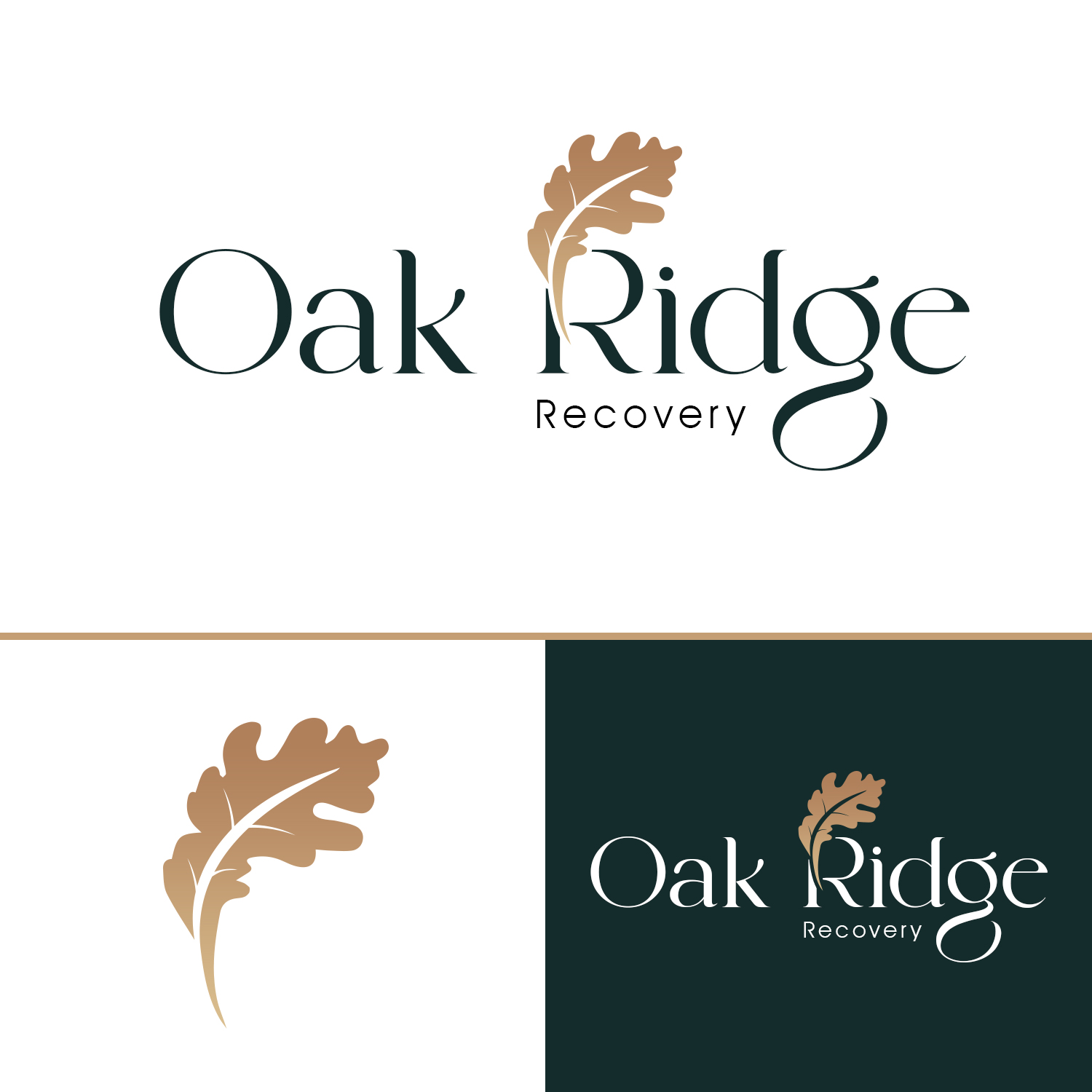 Logo-Design von Kajal UI/UX für dieses Projekt | Design #36784570