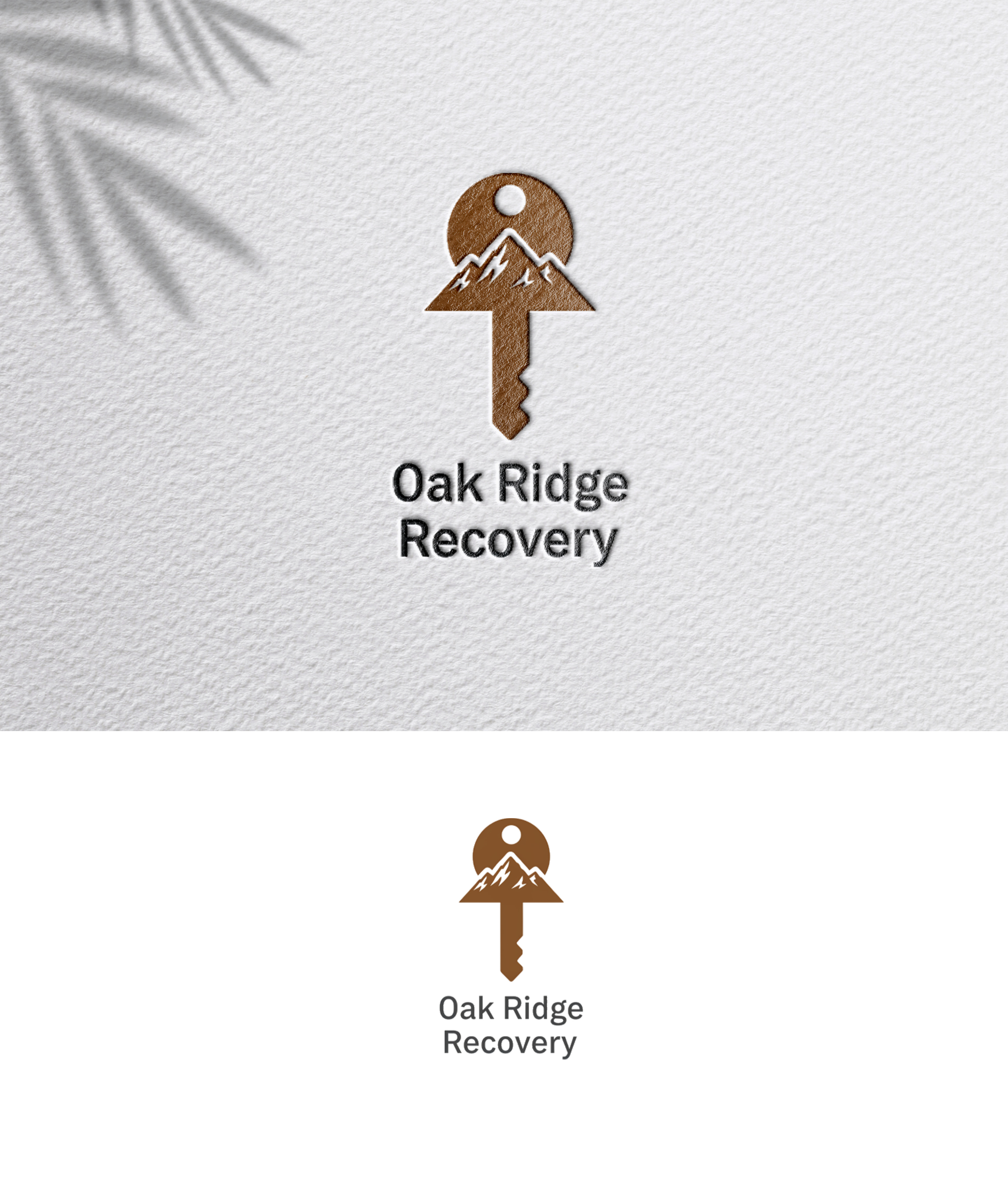 Logo-Design von zoyario für dieses Projekt | Design #36774554