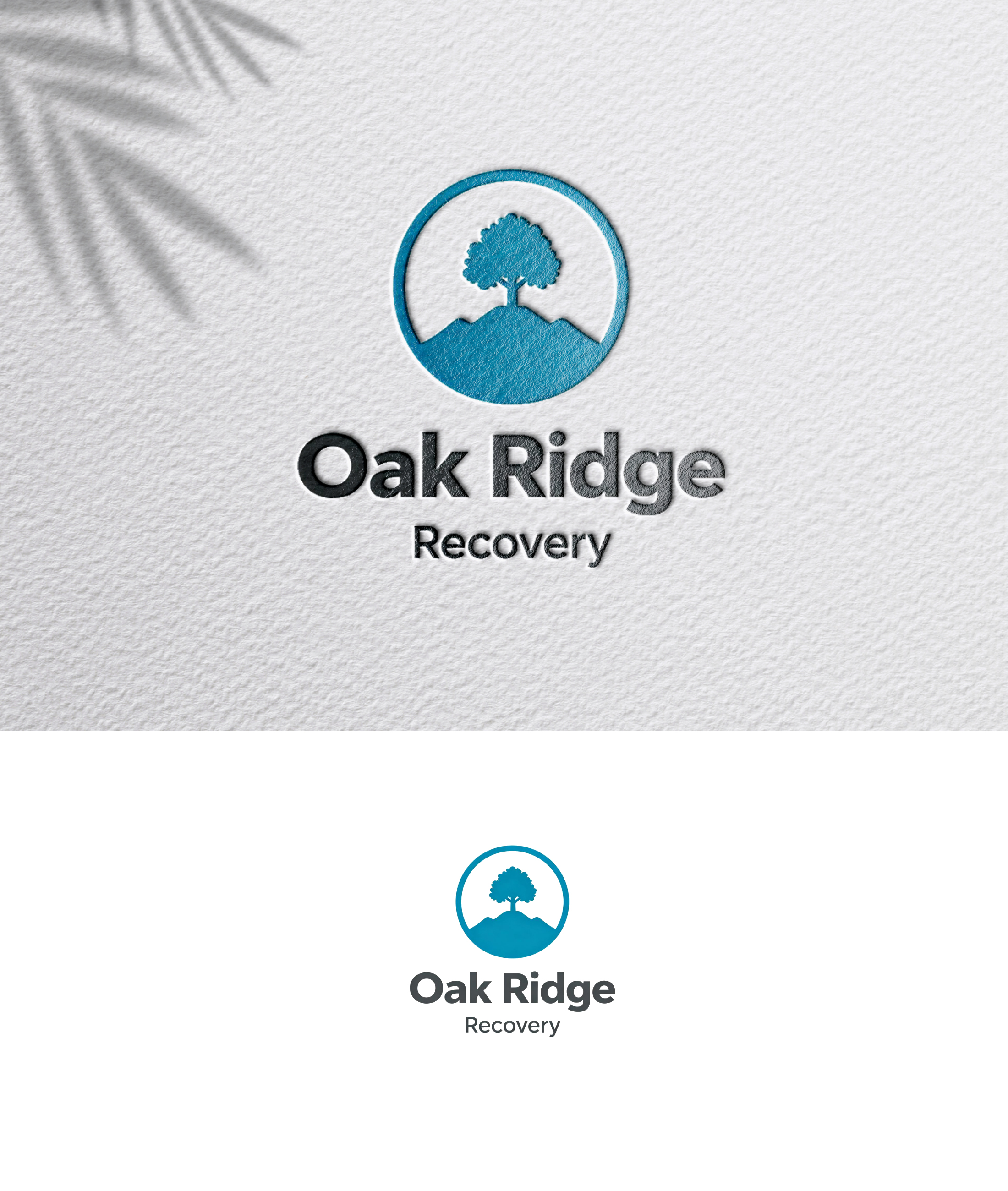 Logo-Design von zoyario für dieses Projekt | Design #36774558