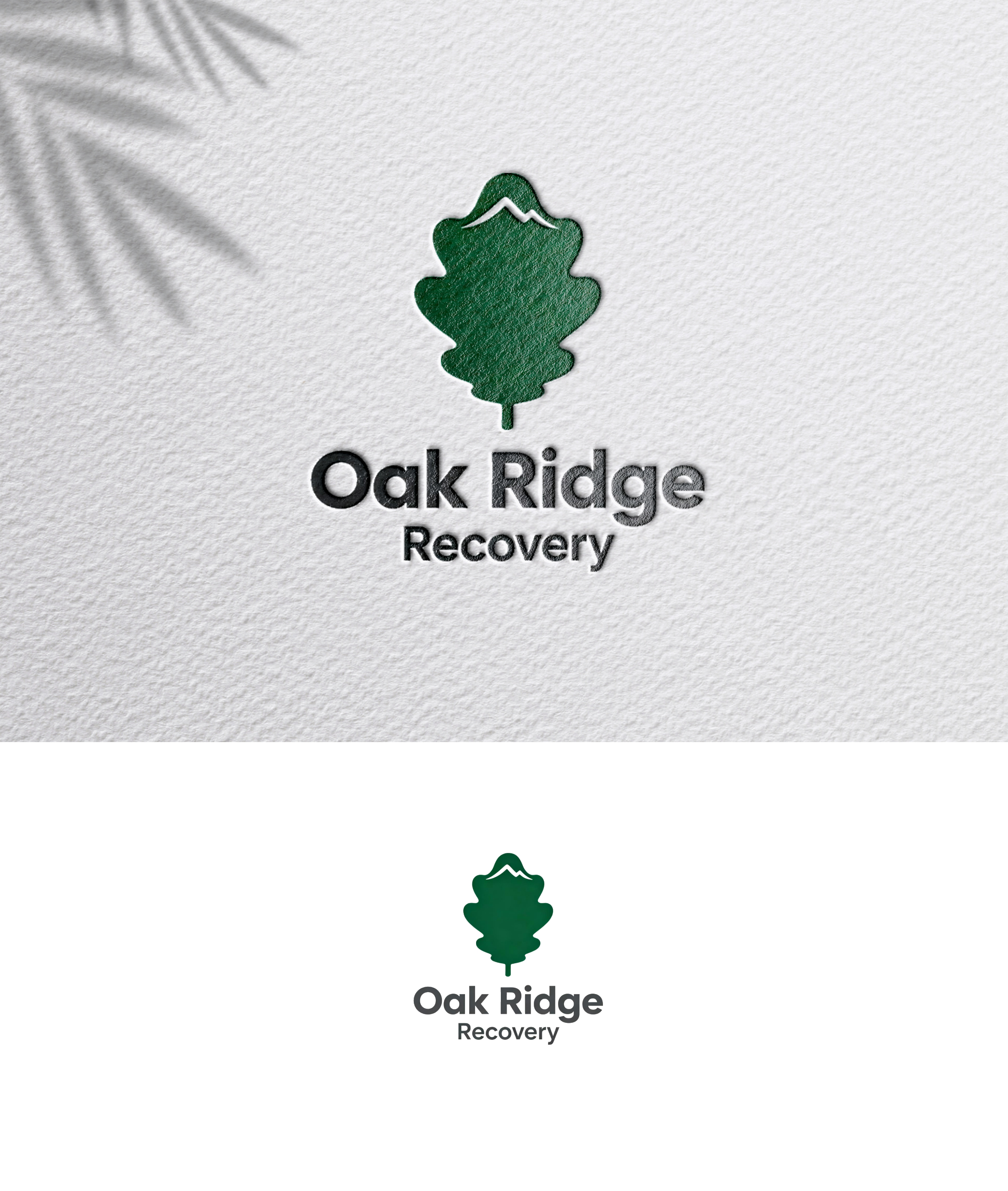 Logo-Design von zoyario für dieses Projekt | Design #36774561