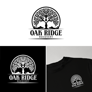 Logo-Design von Design Reflector für dieses Projekt | Design: #36769532