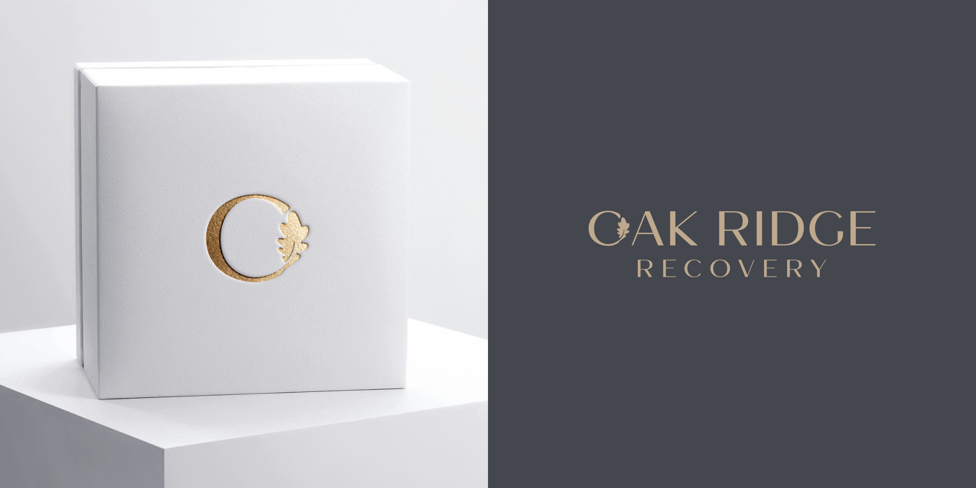 Logo-Design von John316 für dieses Projekt | Design #36773359