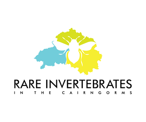 Logo Design by Adi Graphics for this project | Design: #36786282