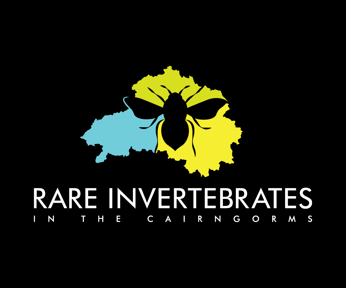 Design de Logo par Adi Graphics pour ce projet | Design #36786285