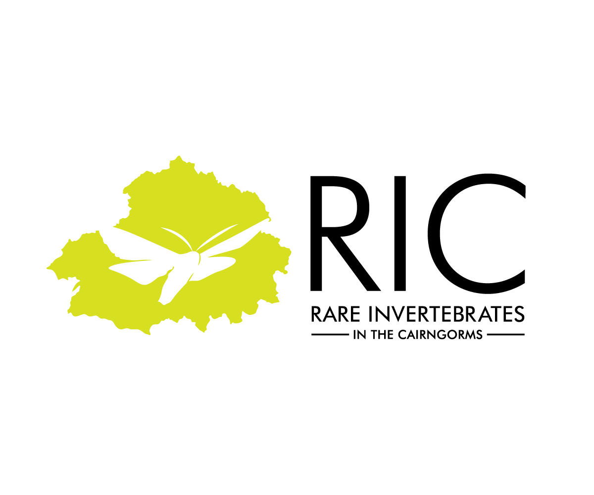 Design de Logo par Adi Graphics pour ce projet | Design #36789514