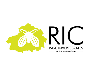 Logo Design by Adi Graphics for this project | Design: #36789515