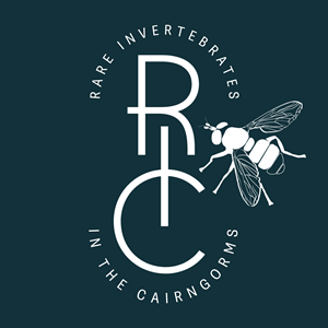 Logo Design by Tye for this project | Design: #36807198