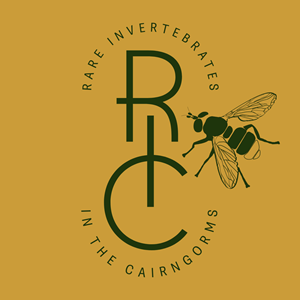 Logo Design by Tye for this project | Design: #36807202