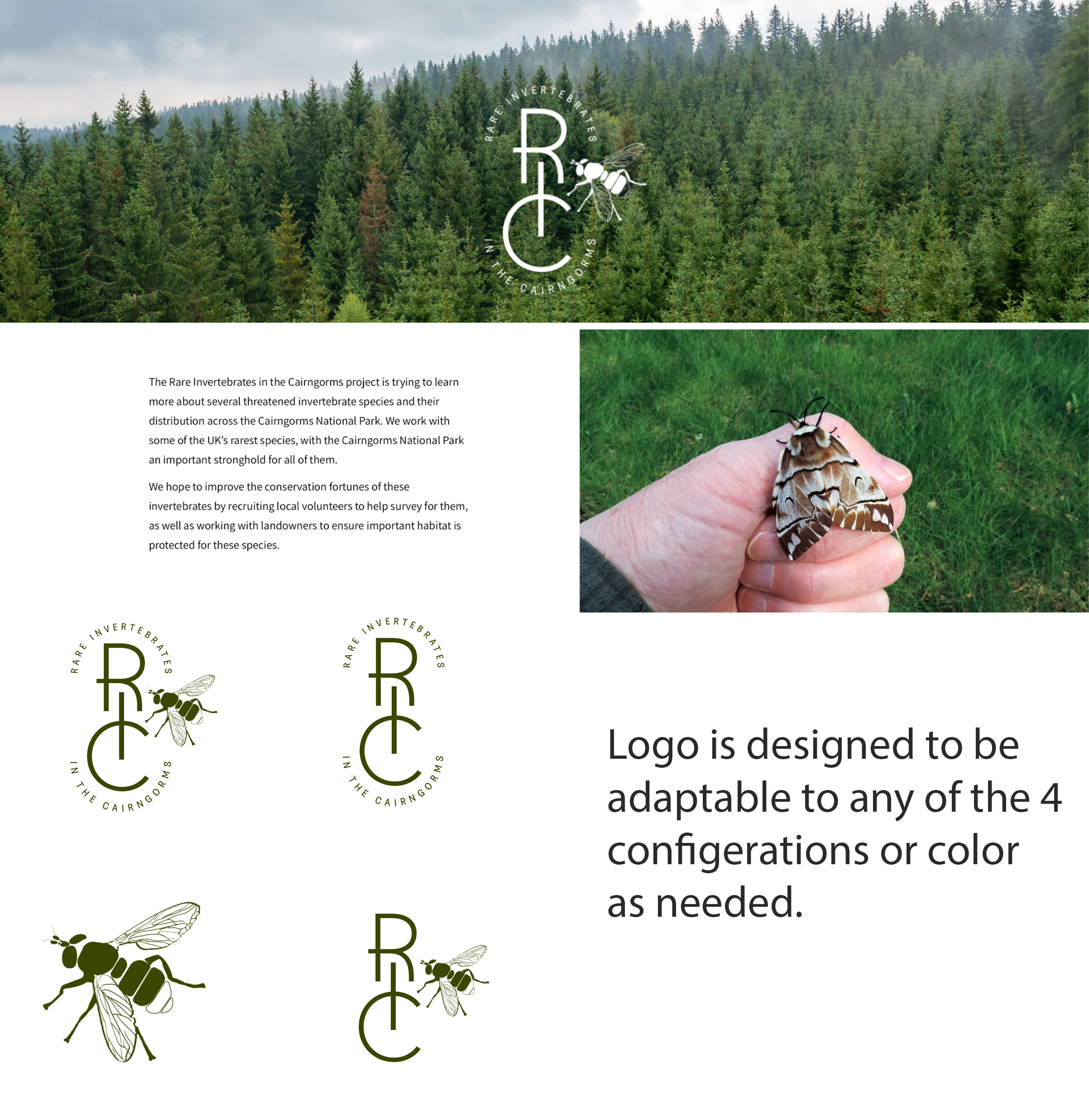 Design de Logo par Tye pour ce projet | Design #36810008