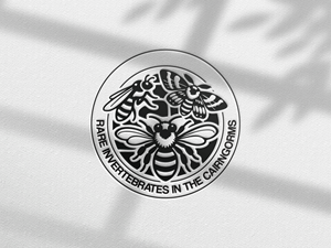 Logo Design by Shymaa Ahmed for this project | Design: #36810290