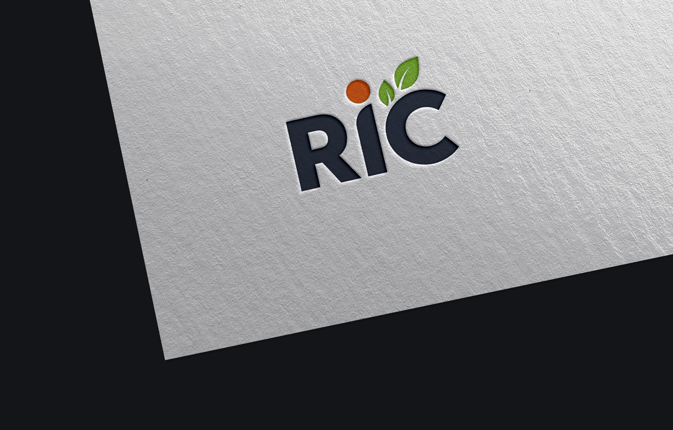 Design de Logo par DCE2901 pour ce projet | Design #36787253