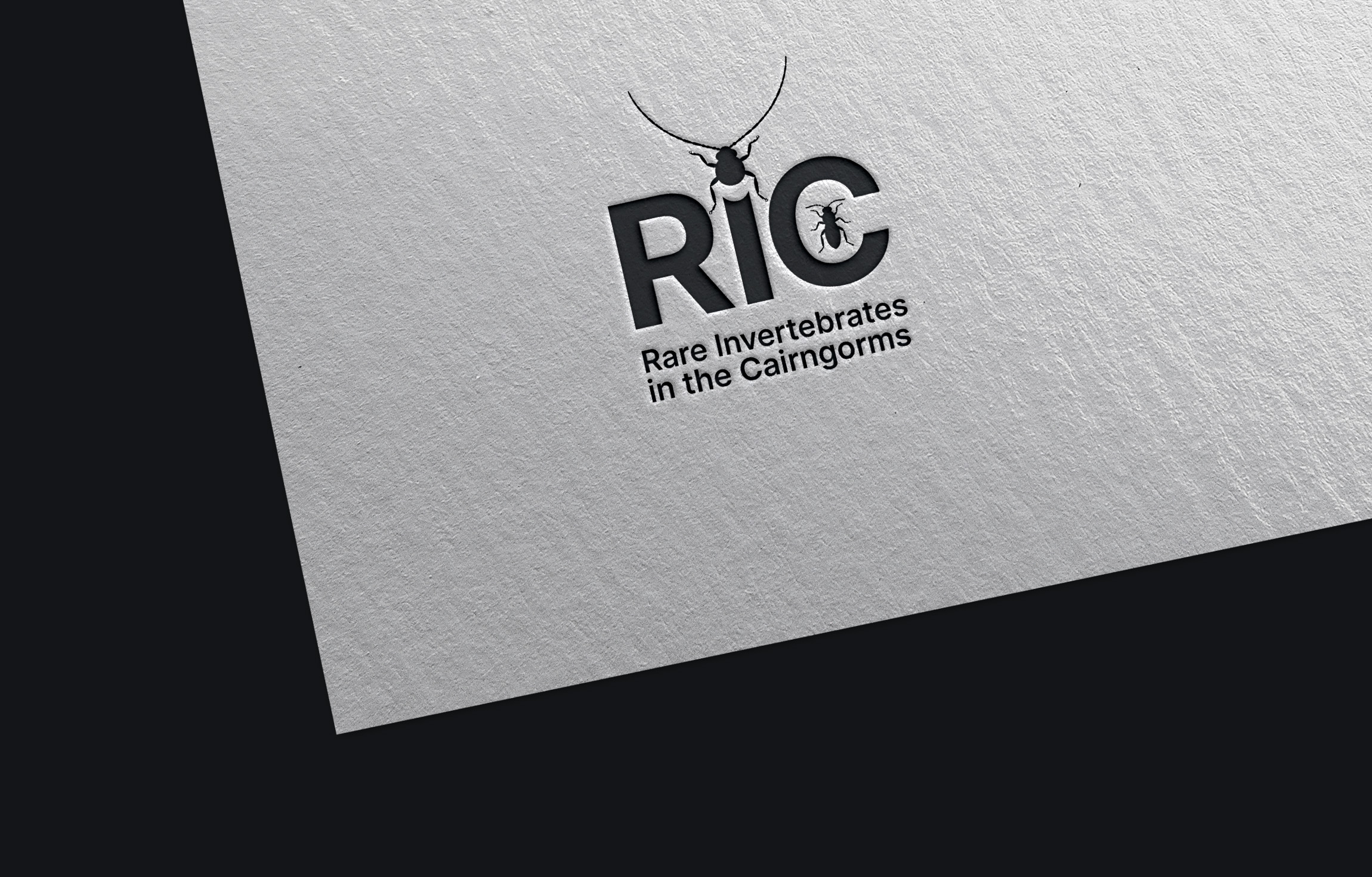 Design de Logo par DCE2901 pour ce projet | Design #36787254