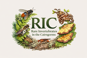 Design de Logo par Art24/7 pour ce projet | Design : #36779991