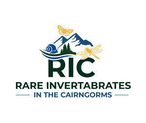 Logo Design by Graphixpointt for this project | Design: #36779832