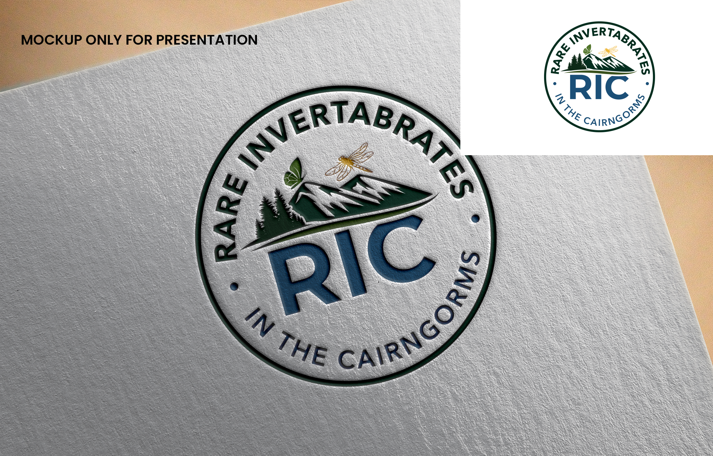 Logo Design by Graphixpointt for this project | Design #36780110