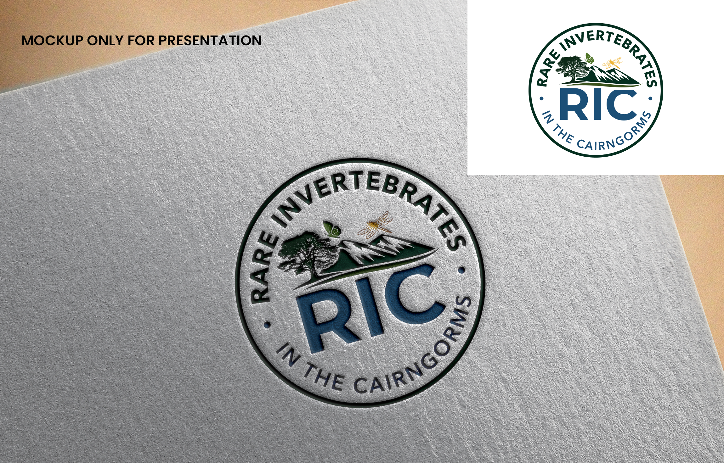 Logo Design by Graphixpointt for this project | Design #36785337